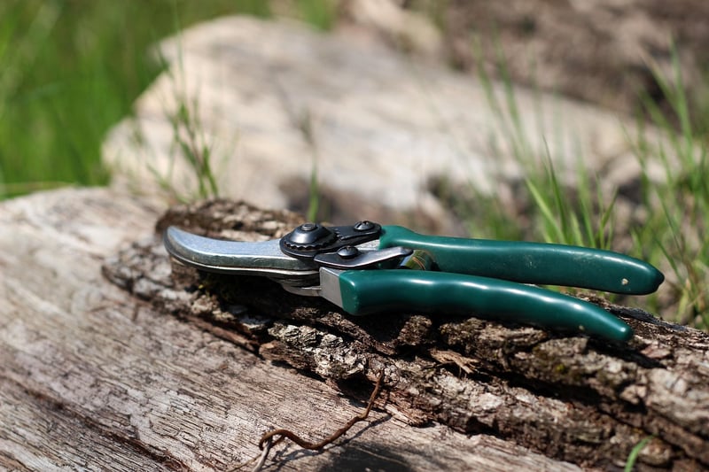 Pruning Practices